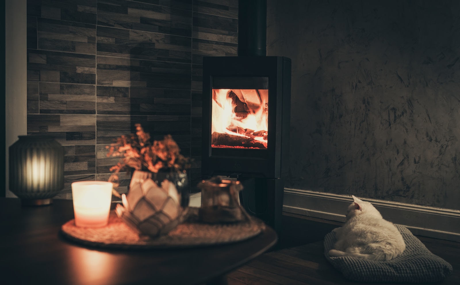 Photo by Kim Menikh a cat sitting on a table in front of a fireplace